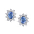 Ceylon Sapphire Stud Earring