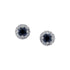 Ceylon Sapphire Stud earrings